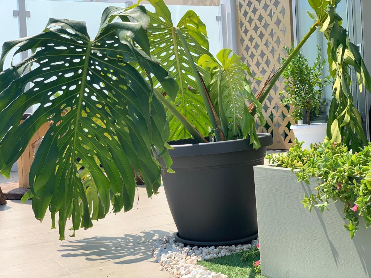 Dalu Suite Terrace Бари Экстерьер фото
